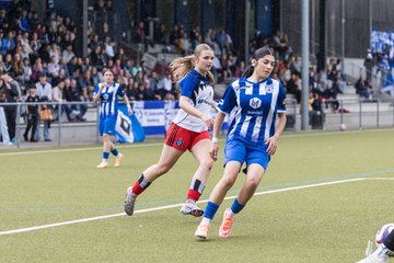 Bild 317 - wBJ Hamburger SV - FC Suederelbe : Ergebnis: 9:0